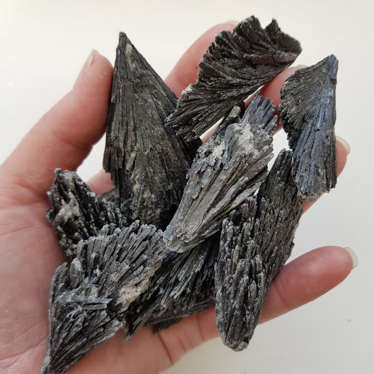 Rough - Kyanite Black 200gms (7-10pc) Rough - Kyanite Black 200gms (7-10pc)